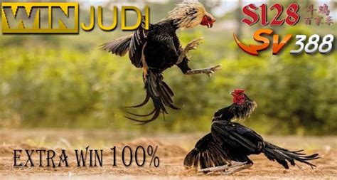 situs sabung ayam live|S128 .